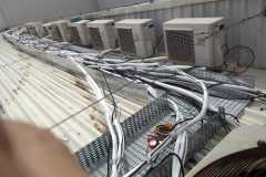 IMG-20200131-WA0031