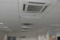 IMG-20200131-WA0034