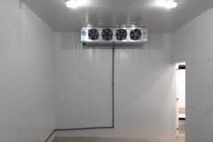 DIAMEDICA-CAM-FRIA-3